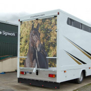 Horse box graphics